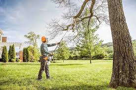 Trusted Duncan, OK  Tree Services Experts